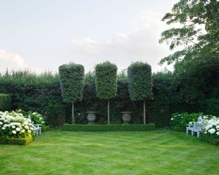 corner parterres with box hedging, Hydrangea arborescens ‘Annabelle’, standard evergreen, holm oaks, urns