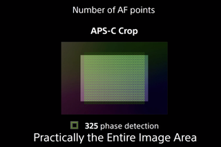 The A7R IV offers 325 phase-detect AF points when set to its 26.2MP crop mode