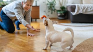 Woman playing with dog