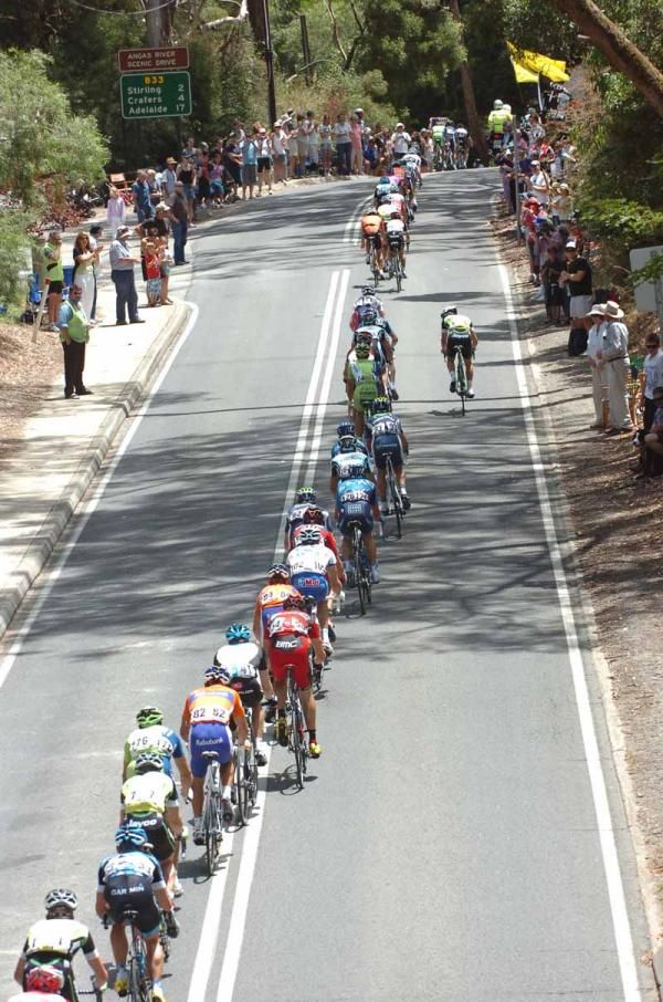 The peloton on stage 2 of the Tour Down Under