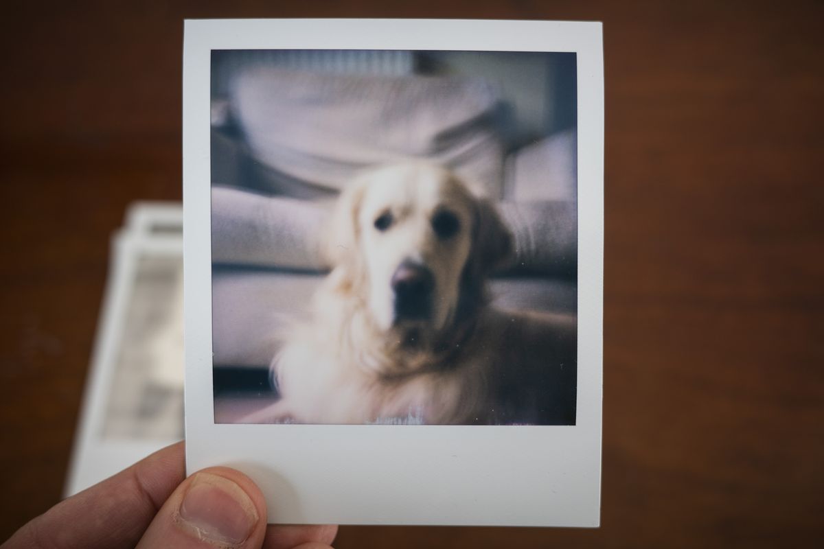 Polaroid SX70 instant print in the hand, color portrait