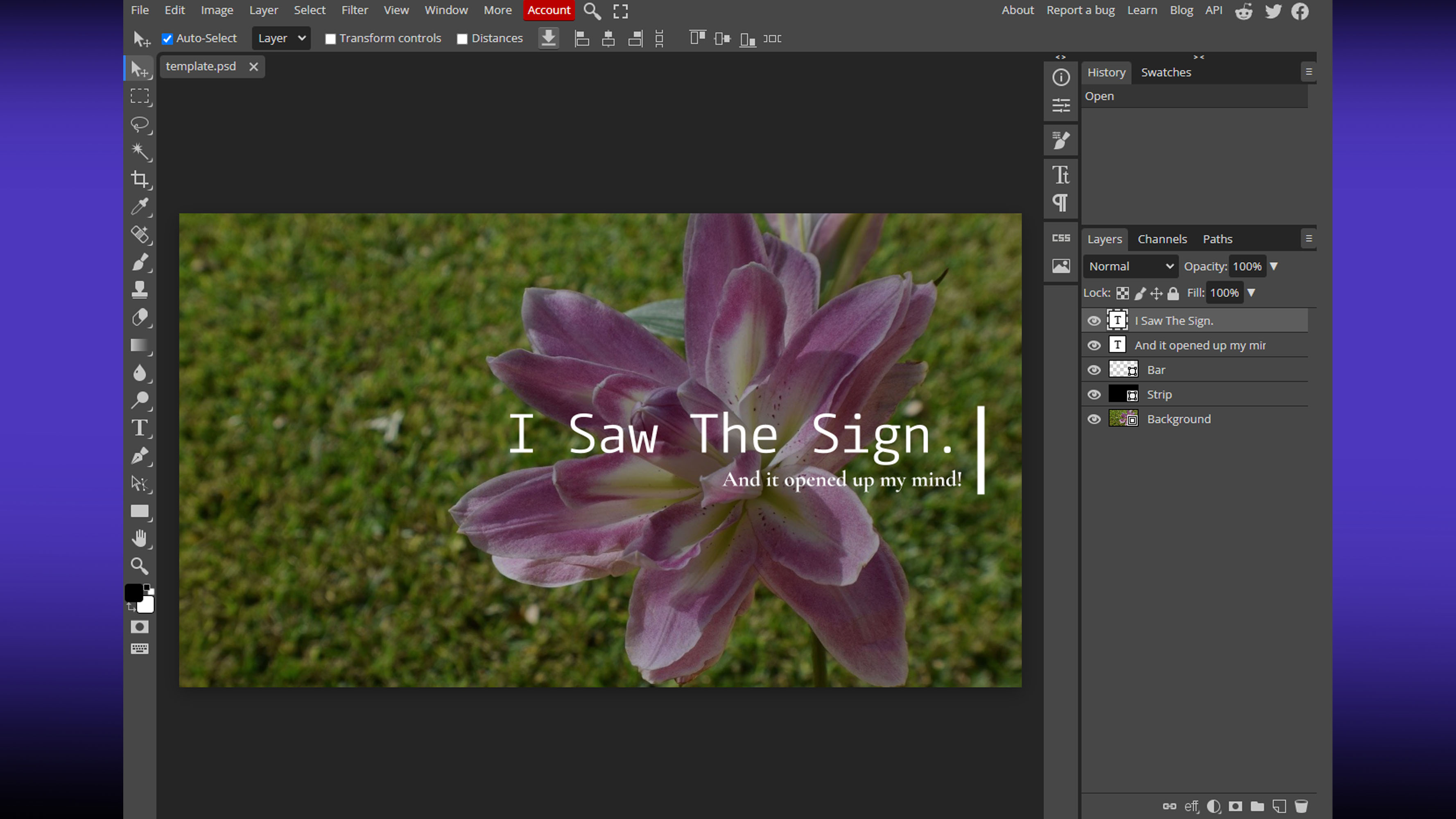 Photopea on screen, flower template