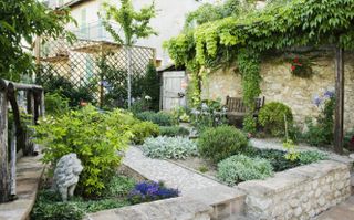 A backyard with lots of greenery