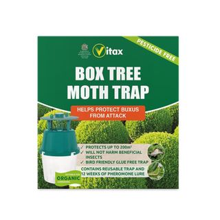  Box Tree Moth Trap