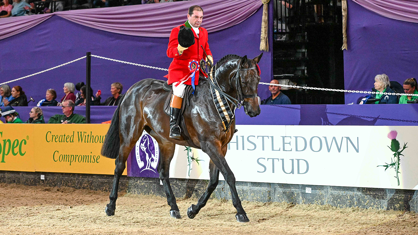 HorseNo999_HOYS_PN23_103478.jpg