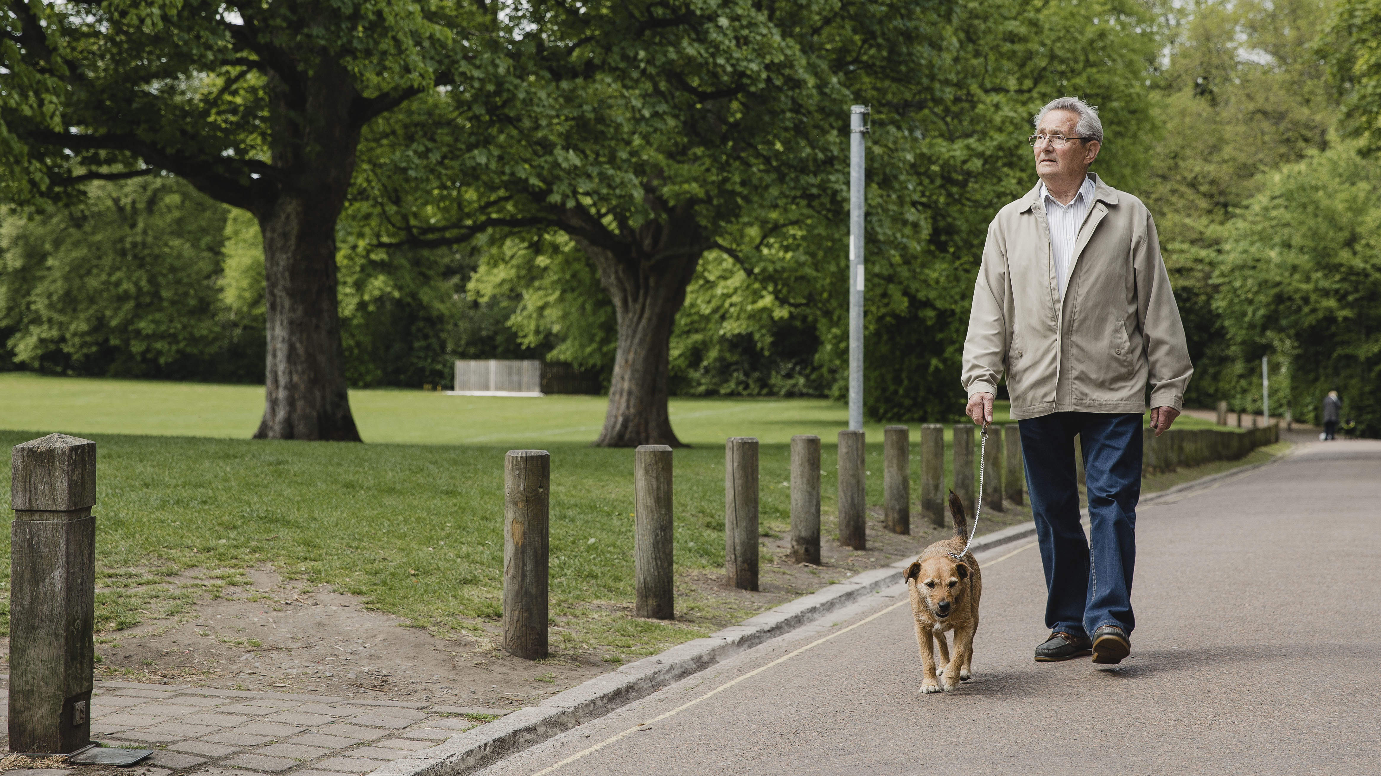 Senior hombre paseando a un perro en el parque