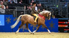 Cadlanvalley-Buzby_Olympia_PN18_218288_257453332_388630422.jpg