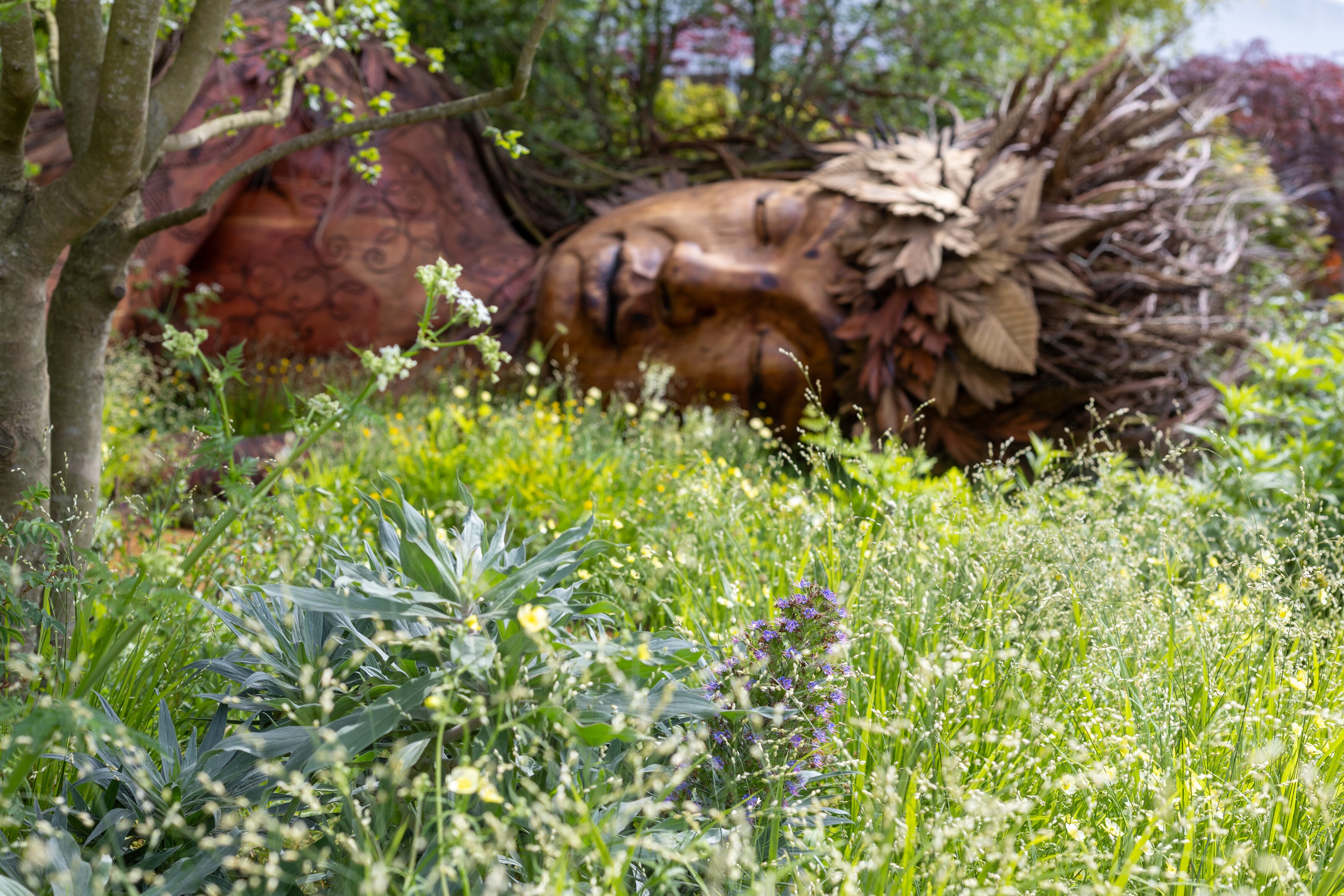 Images of the CPRE Show Garden On the Edge by Sarah Eberle. it focuses on grasses and flowers that grow around britain's edges, and is centred around a giant wooden carving of Gaia