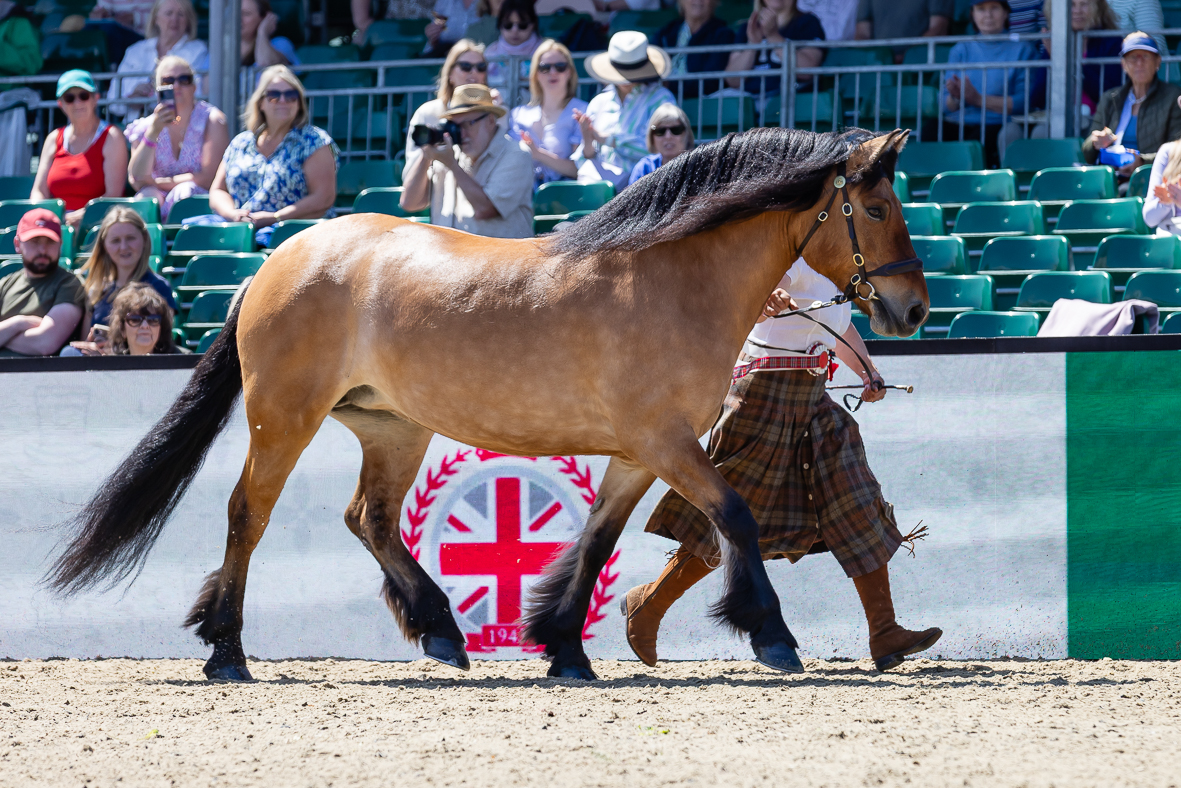 RWHS_H&amp;amp;H In Hand Supreme_-6