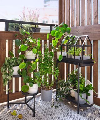 balcony garden with olivblad plant stand and potted plants