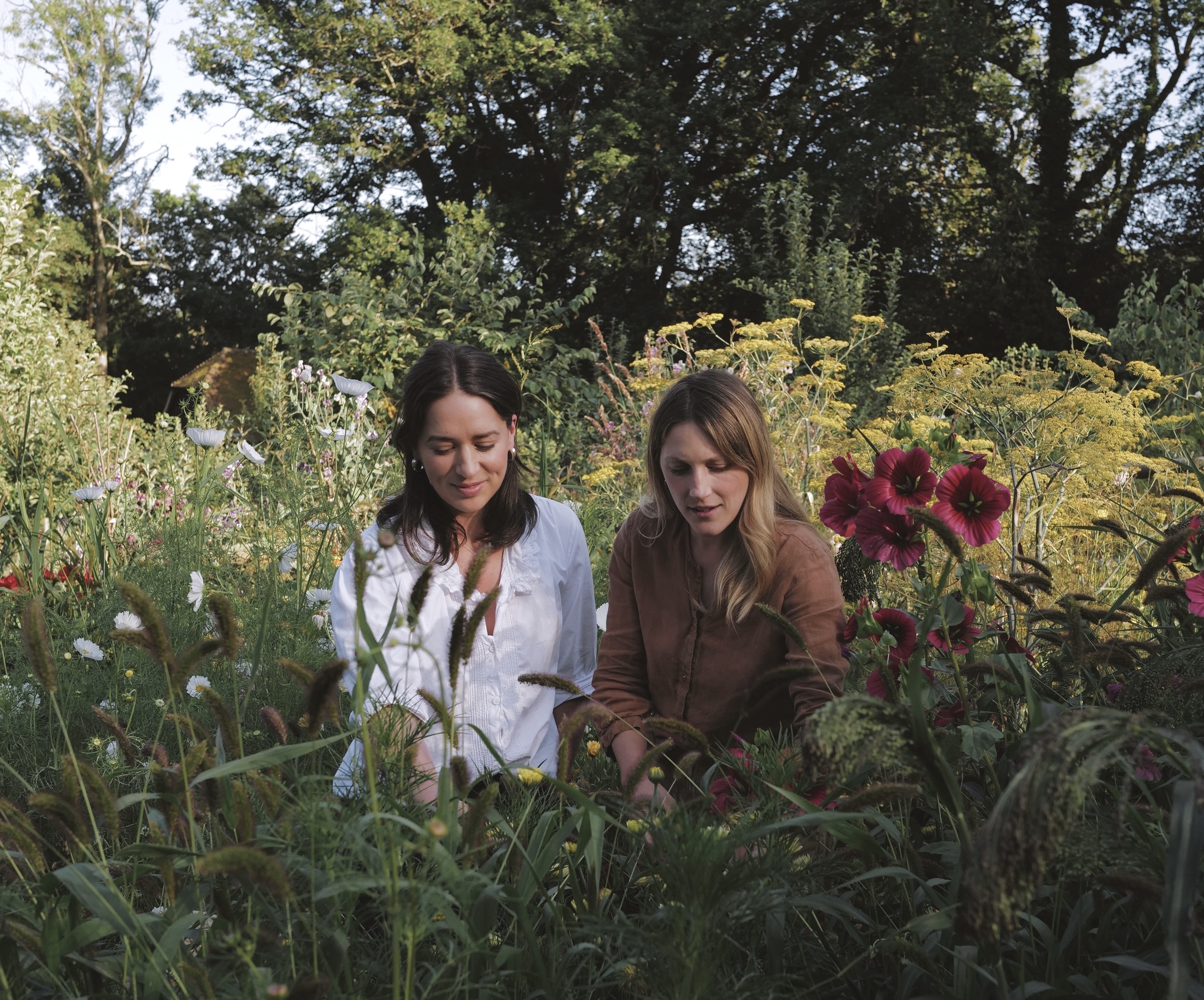 Alma Proust flower farm pics