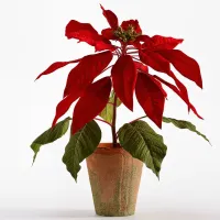 32. Faux Potted Red Poinsettias: View at Pottery Barn