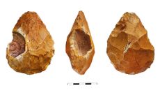 A series of brown pointed rocks seen from different angles against a white background