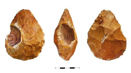 A series of brown pointed rocks seen from different angles against a white background