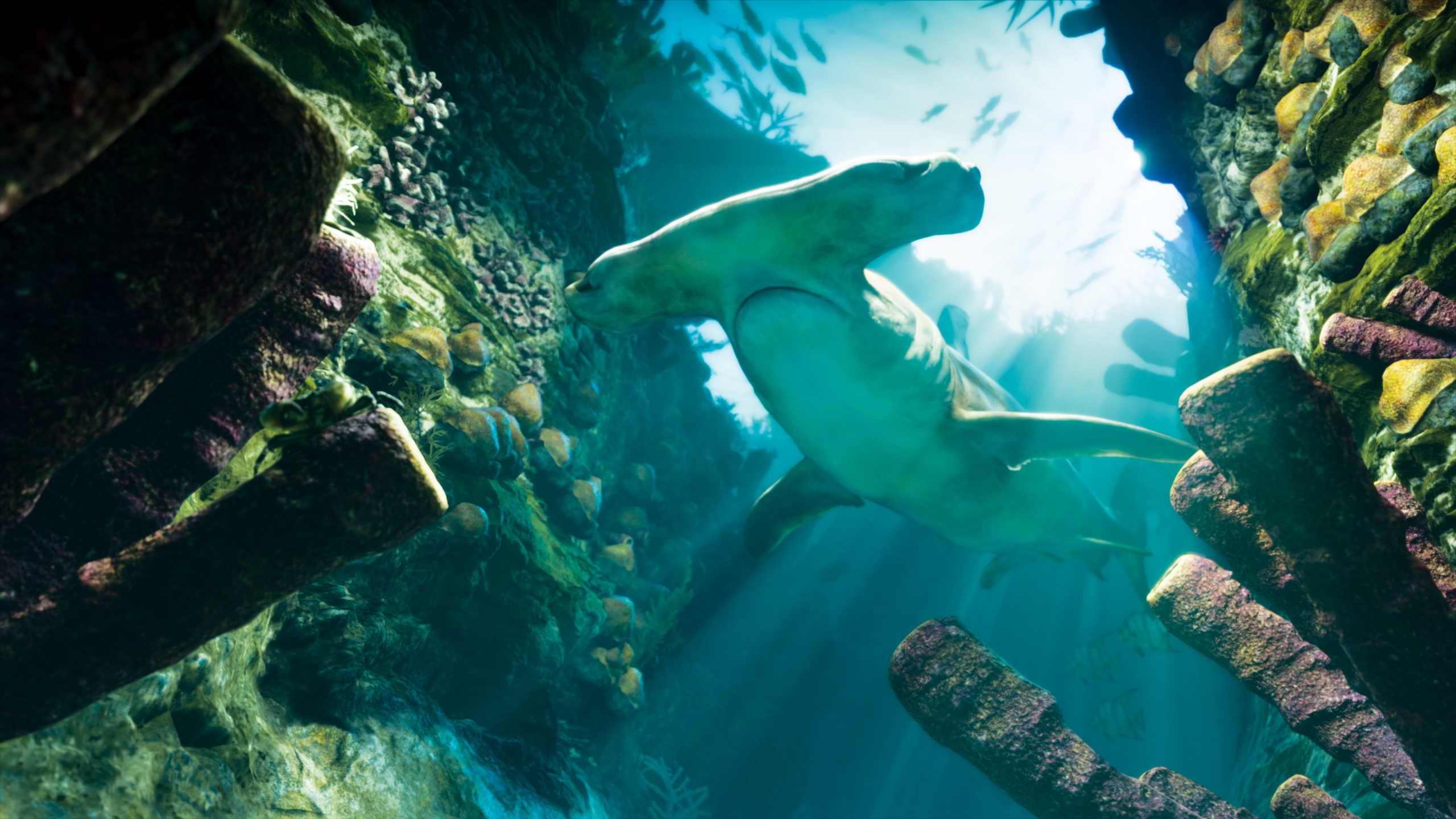 GTA 6 screenshot showing underwater biomes, including a hammer head shark swimming freely