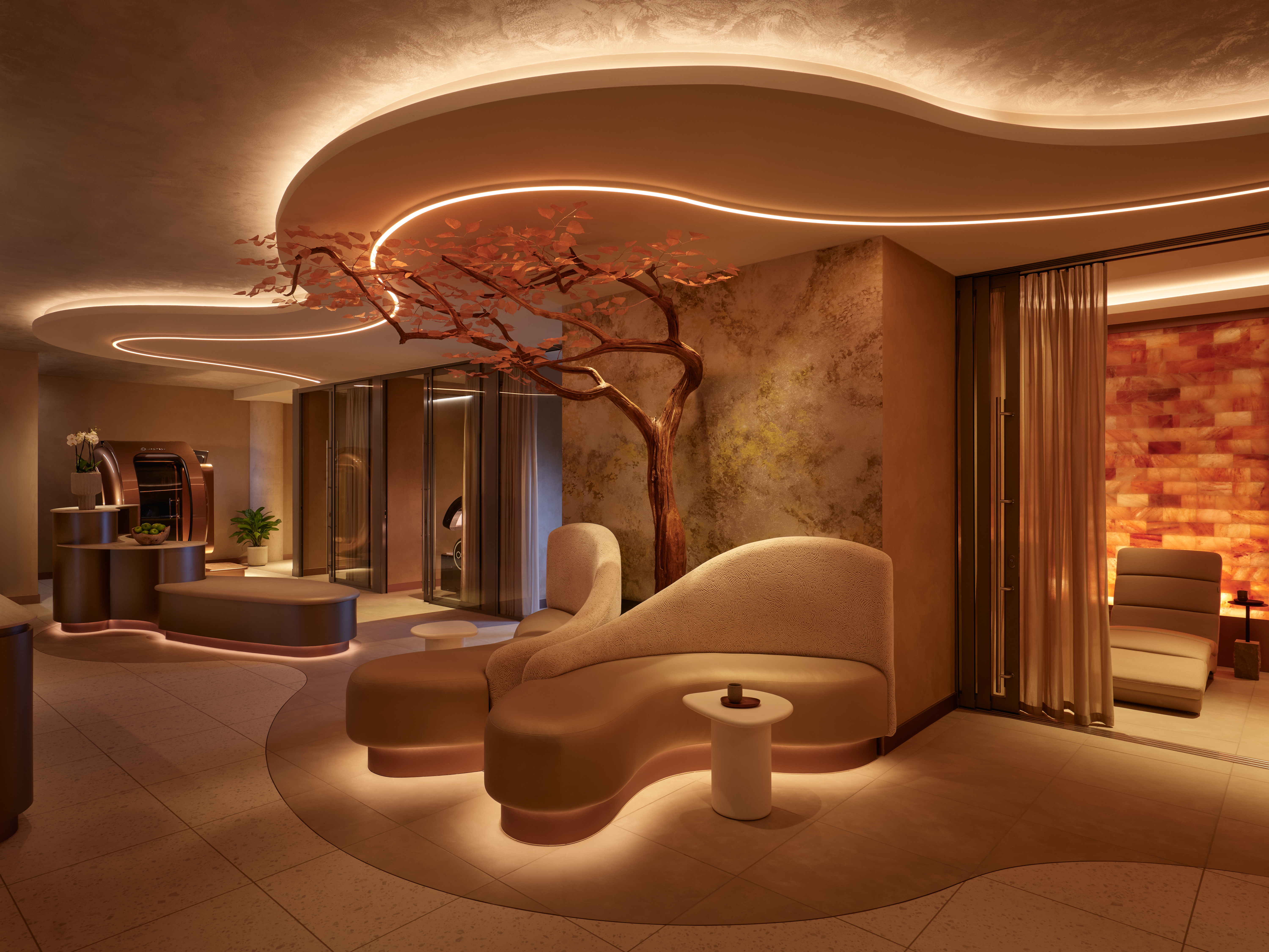 BoTree hotel triplebond club