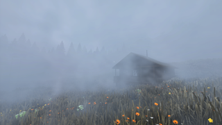 A cabin in the fog