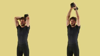 best arm exercises for beginners