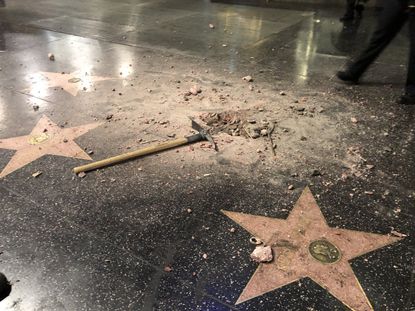 Hollywood star Trump