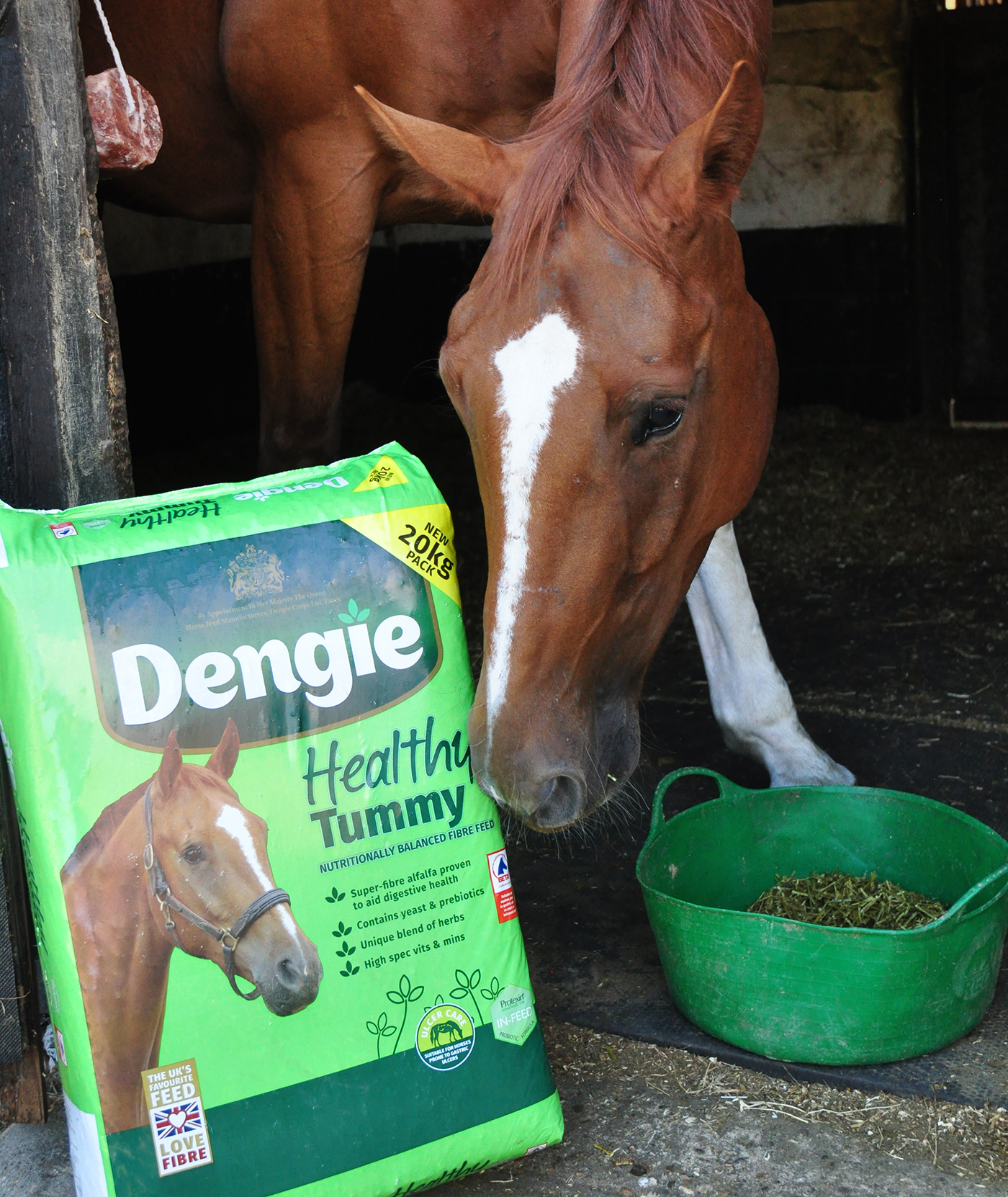 Dengie-healthy-tummy