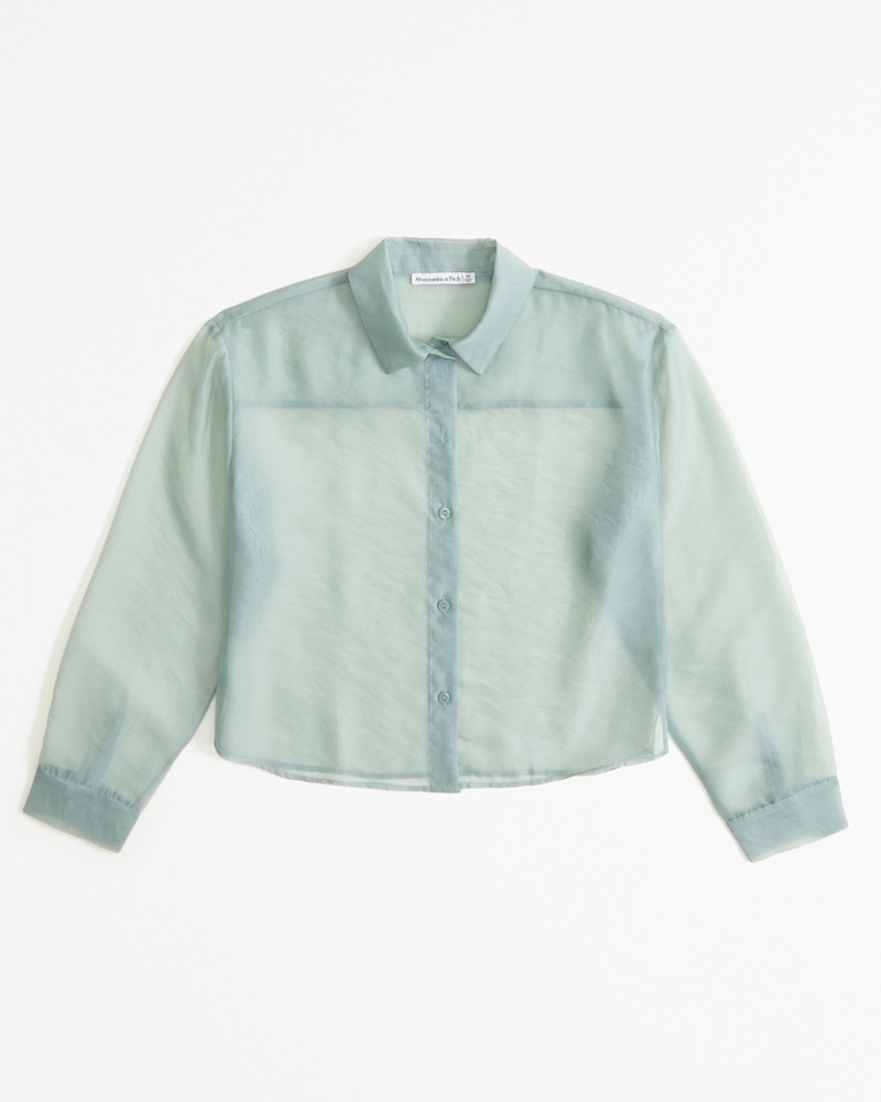 Abercrombie, Long-Sleeve Sheer Shirt