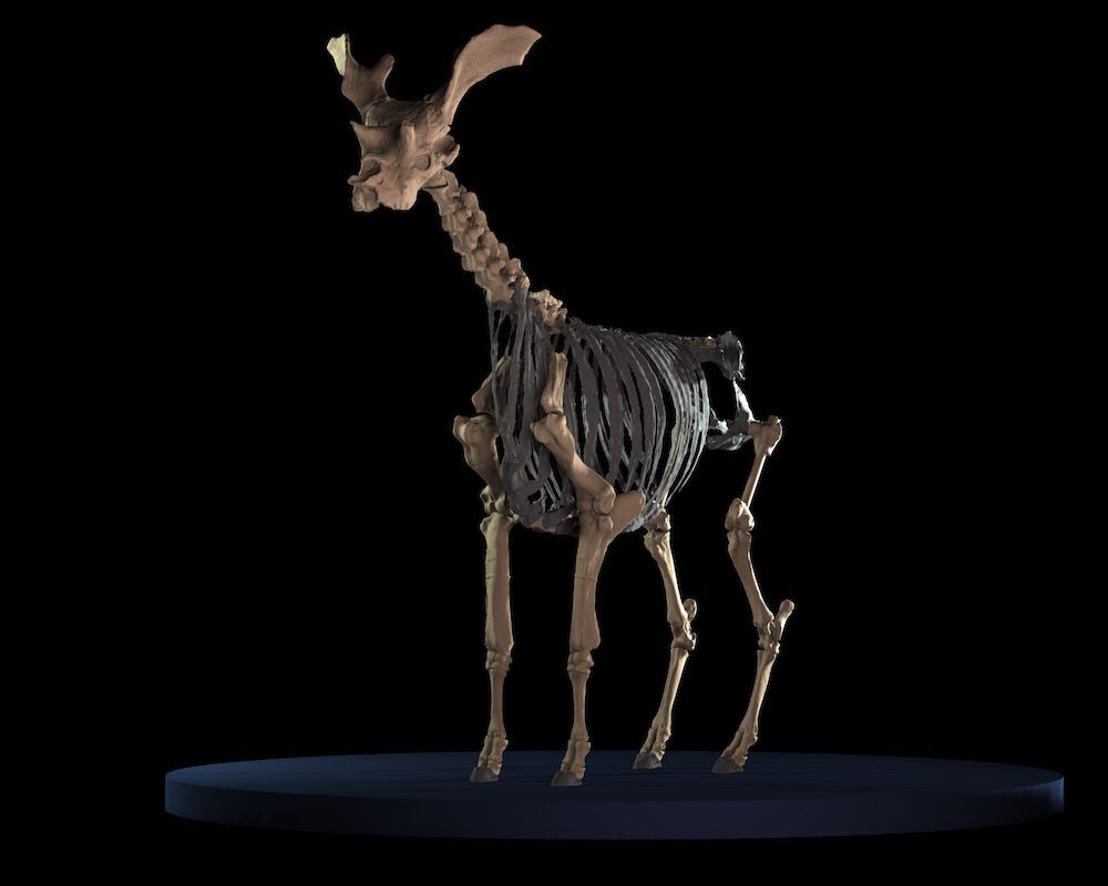 virtual sivatherium giganteum 