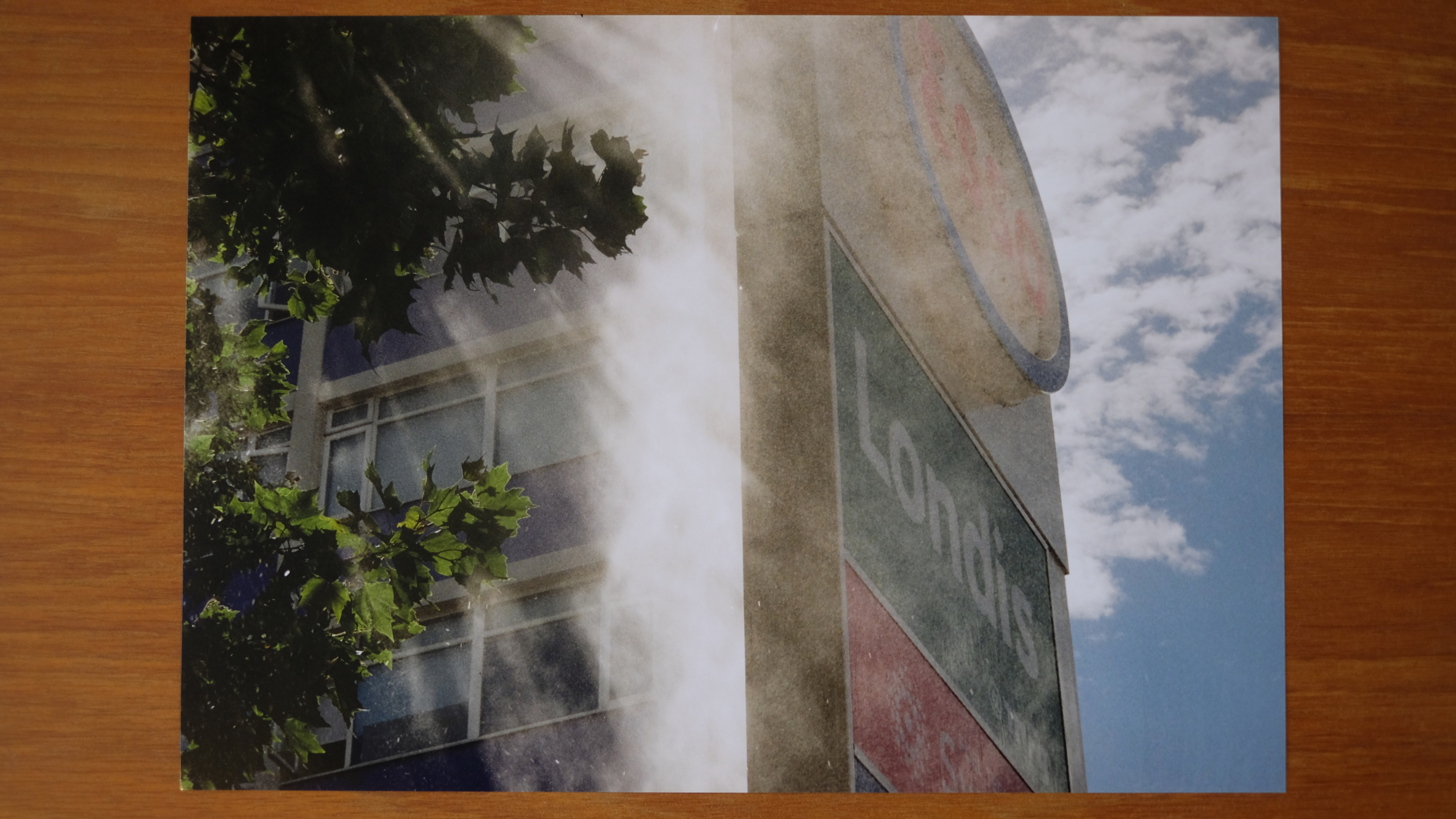 Photograph of a print made with Canon imagePROGRAF PRO-310