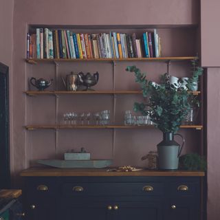Farrow & Ball sulking room pink on bookshelf