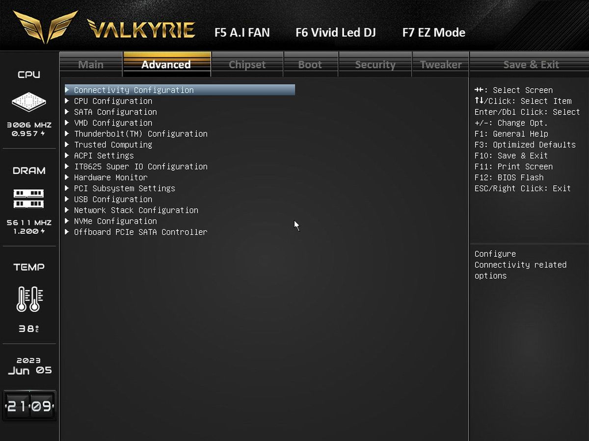 Biostar Z790 Valkyrie