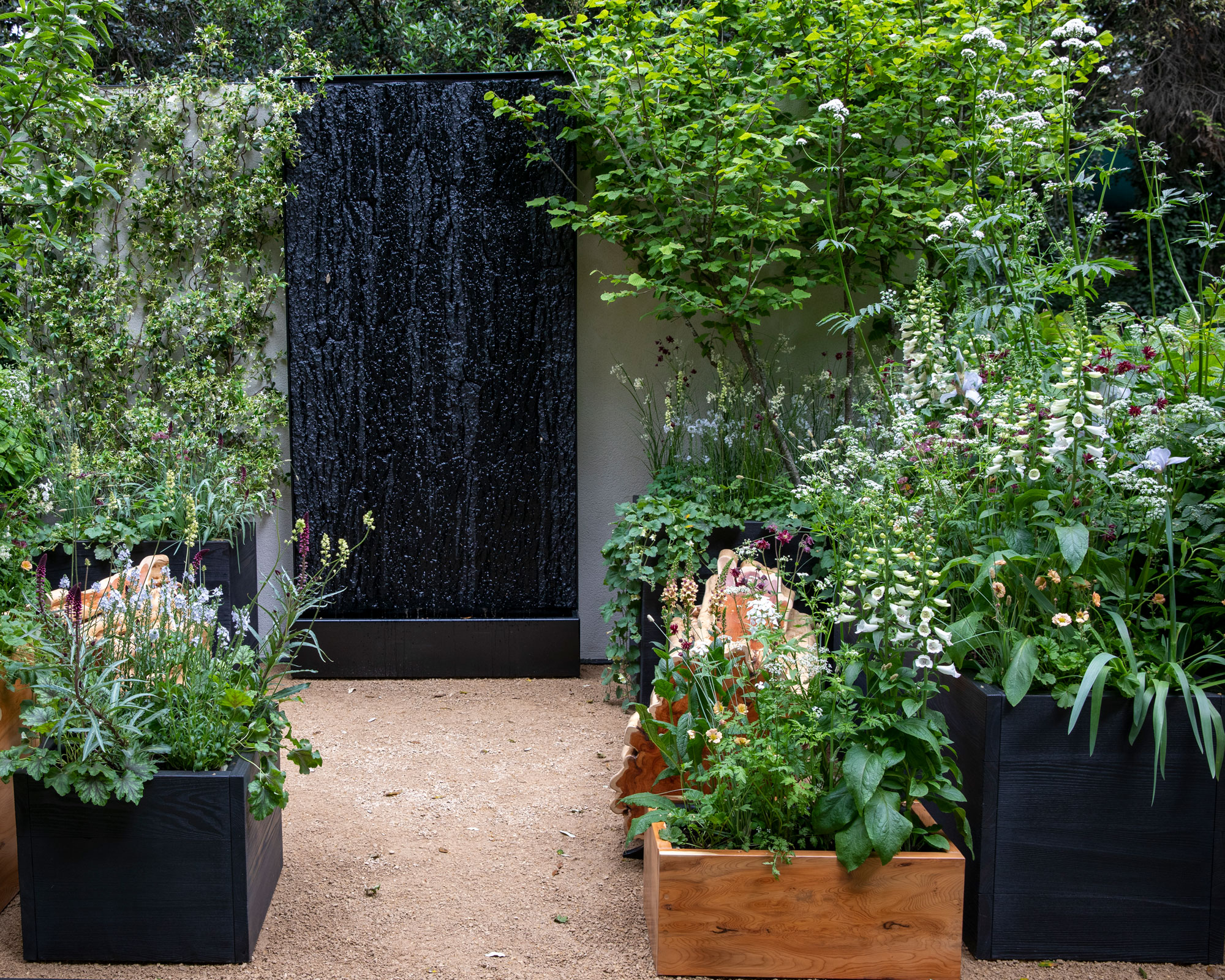 black water wall with climbing plants and flowering plants in black and wood containers