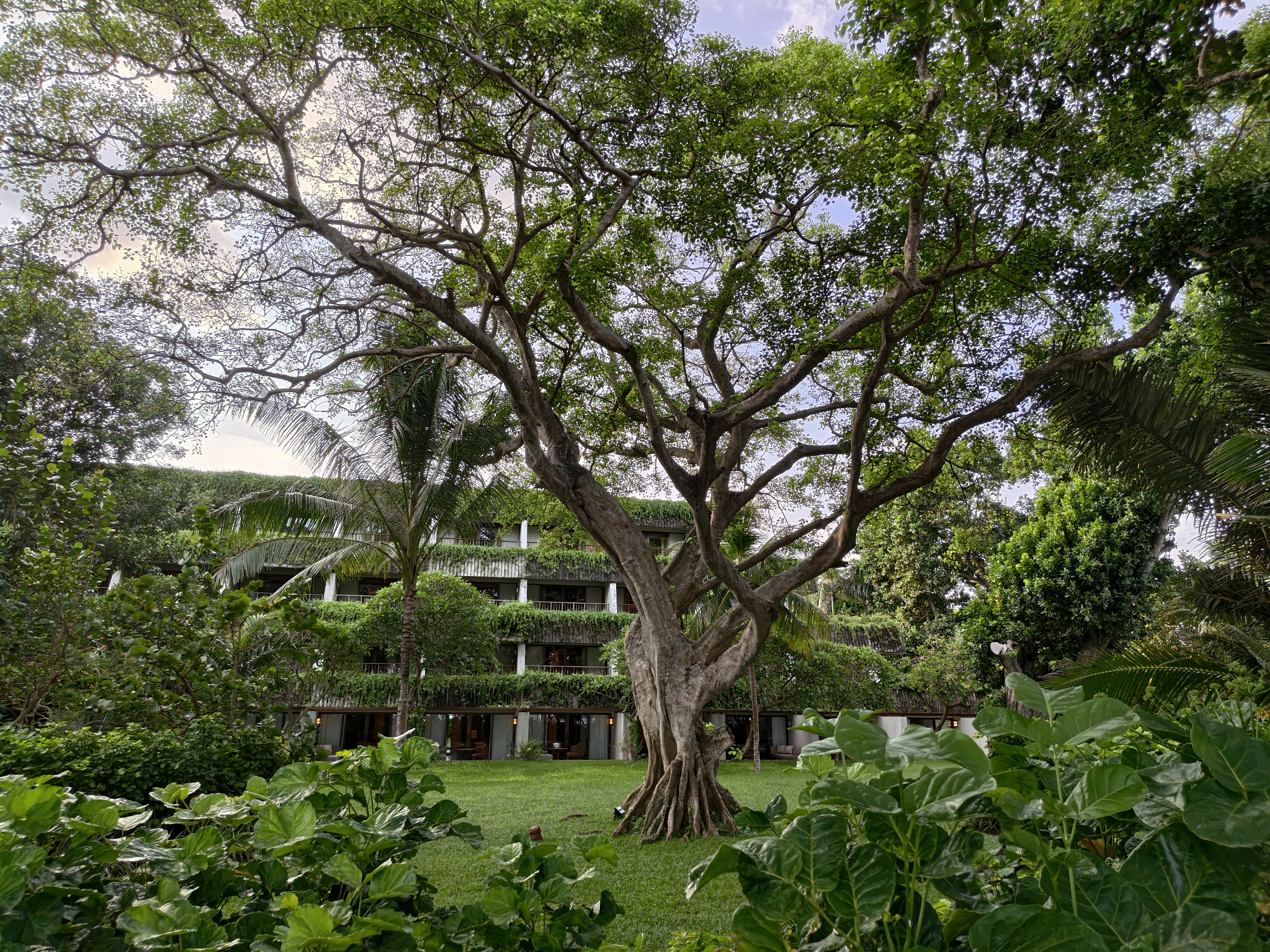 iQOO 15 camera shots on Android Central