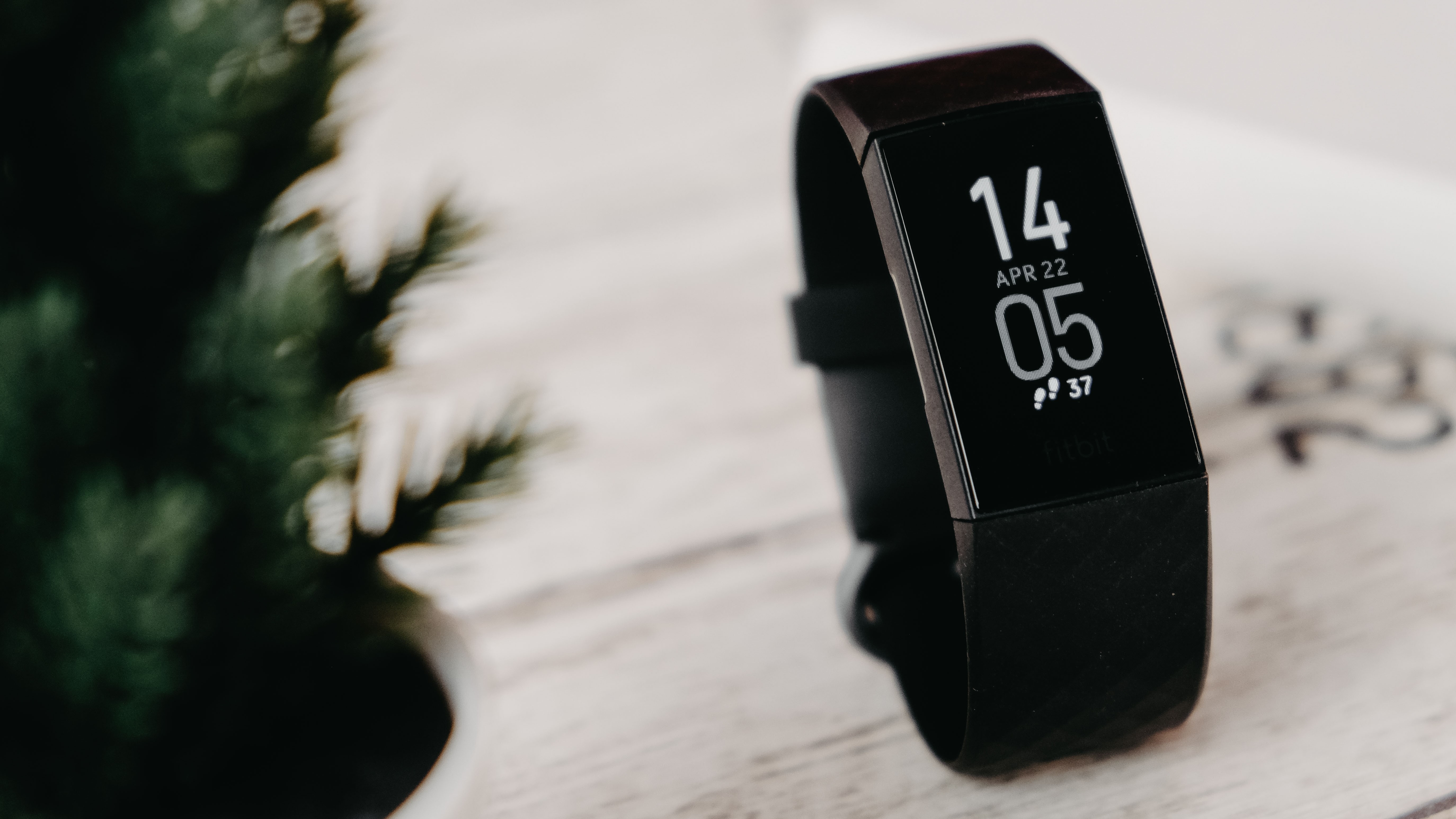 rei fitbit charge 4