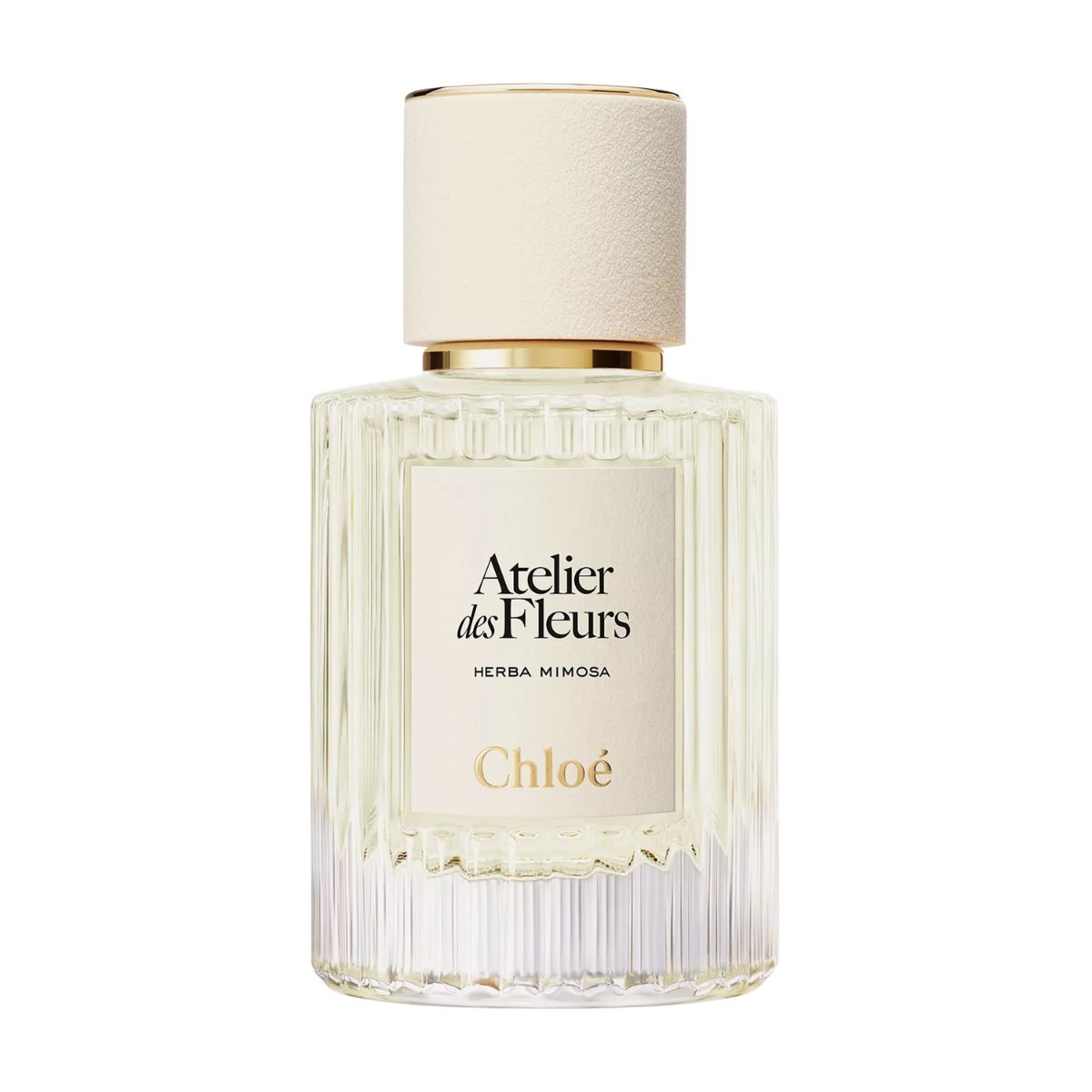 Chlo&amp;eacute; Atelier des Fleurs Herba Mimosa Eau de Parfum
