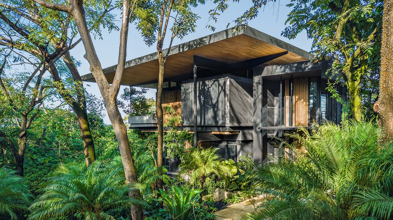 Raintree House in costa rica