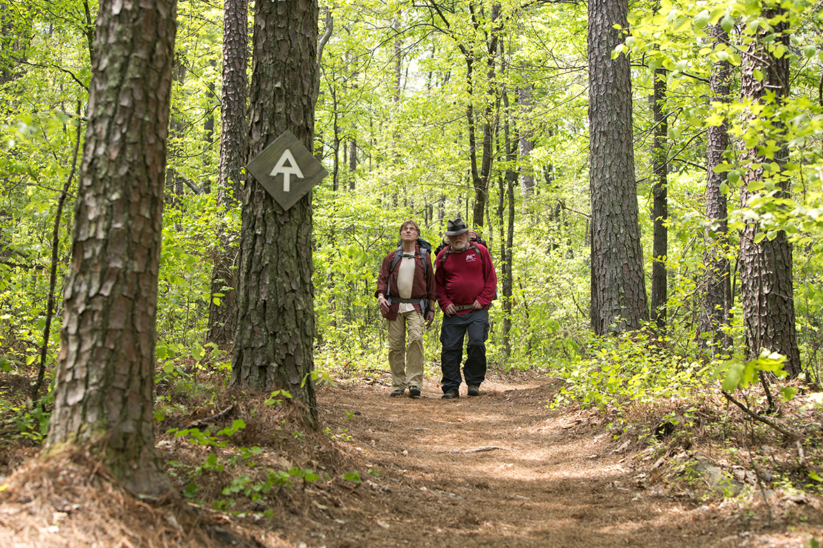 Two people walking through a leafy woods in movie A Walk in the Woods