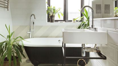 White bathroom with large houseplants