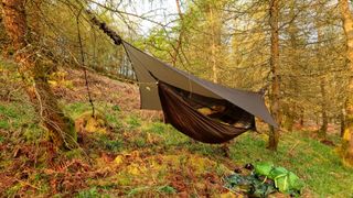 Hammock with tarp over the top