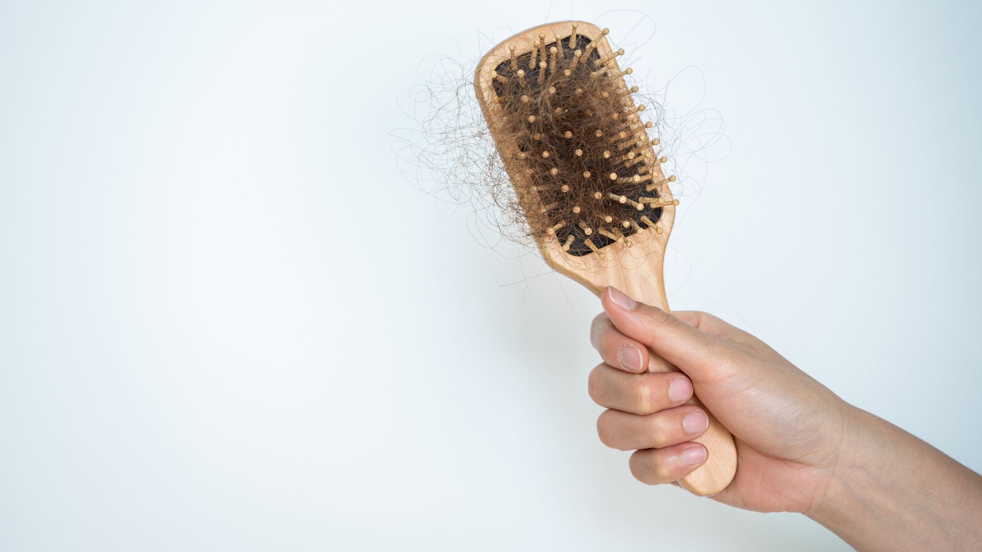 image of a woman's hand holding a hairbrush with lots of hair in it