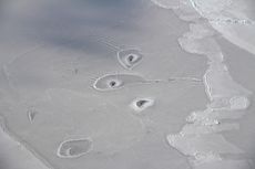 A strange formation appears in Arctic ice at 69.71&deg; North and 138.22&deg; West, about 50 miles northwest of Canada&rsquo;s Mackenzie River Delta.
