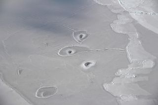 A strange formation appears in Arctic ice at 69.71° North and 138.22° West, about 50 miles northwest of Canada’s Mackenzie River Delta.