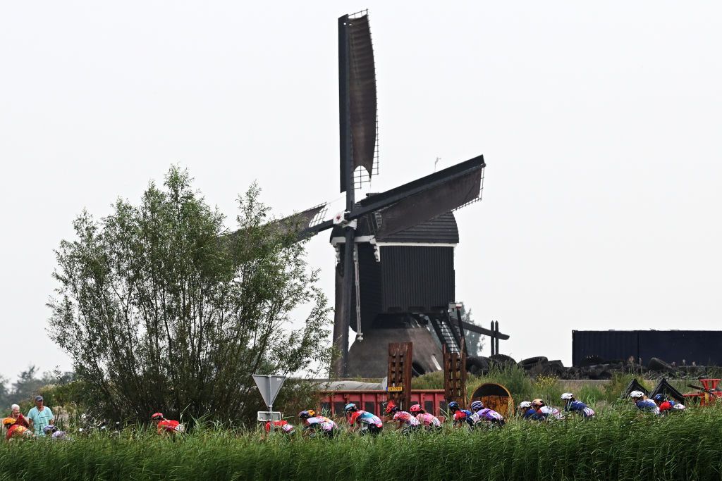 DORDRECHT NETHERLANDS AUGUST 13 A general view of the peloton passing through a landscape during the 3rd Tour de France Femmes 2024 Stage 2 a 679km stage from Dordrecht to Rotterdam UCIWWT on August 13 2024 in Dordrecht Netherlands Photo by Dario BelingheriGetty Images