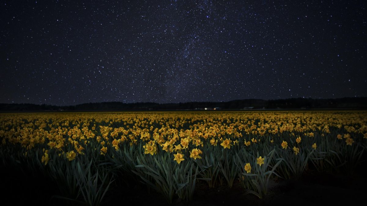 May's best stargazing week is about to begin. How to see a lion, an upside-down bear, a mini 'planet parade' — and more.