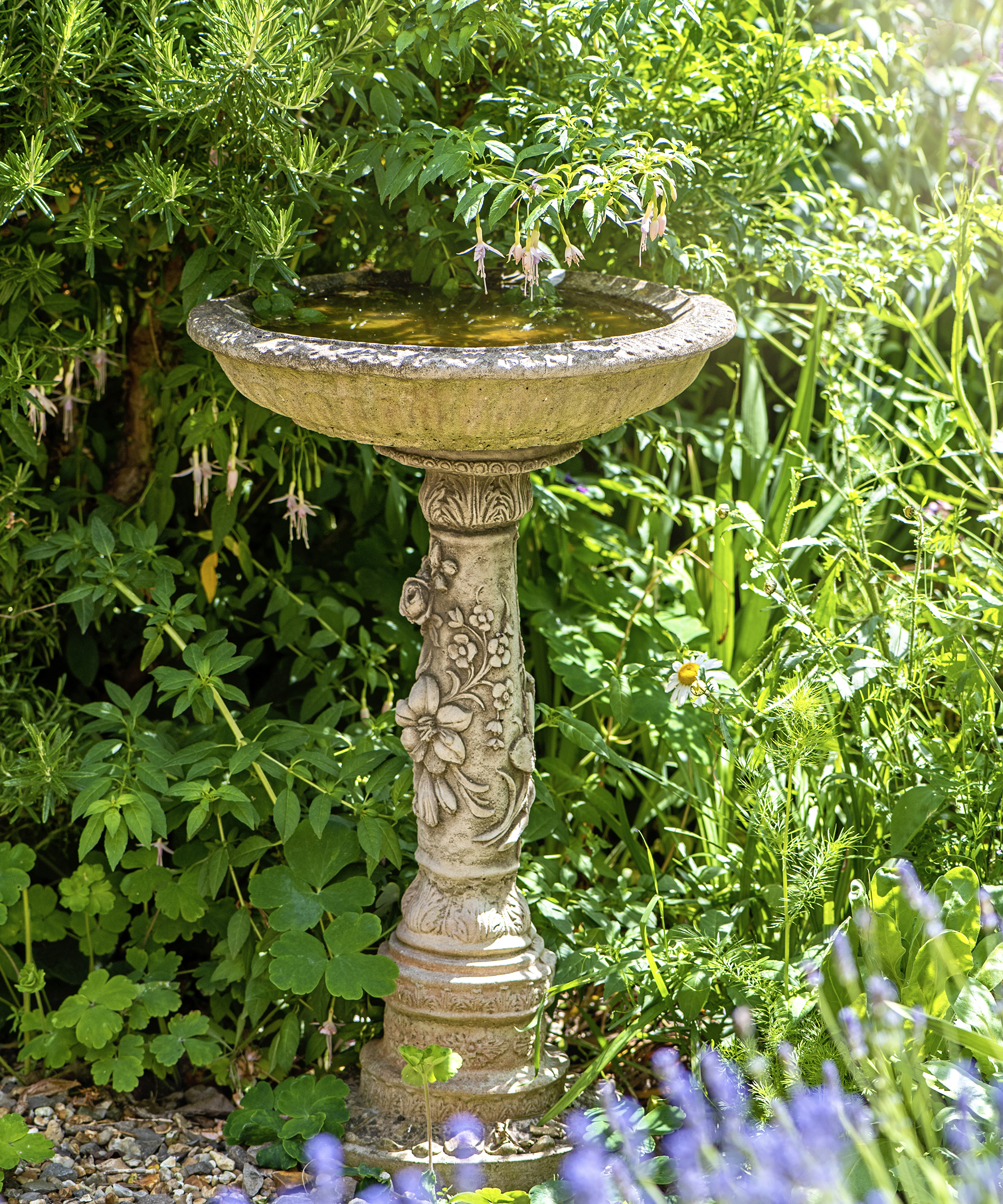 Bird bath positioned next to dense foliage