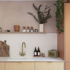 kitchen sink area with gold mixer tap underneath shelf with kitchen items