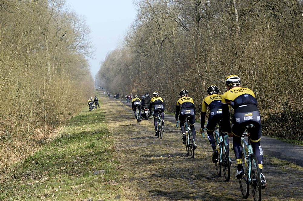 LottoNL-Jumbo in the Arenberg Forest
