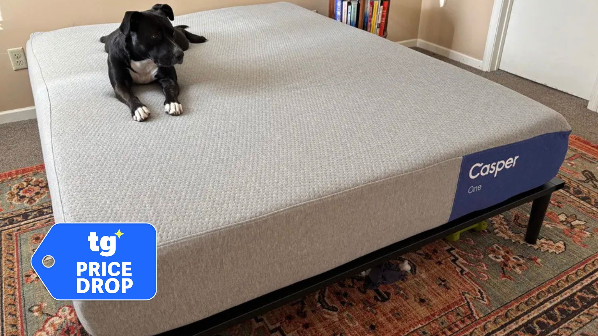 The Casper One mattress at a tester's home. A black-and-white dog sits on the top left corner. A deals badge can be seen in the bottom left foreground. 