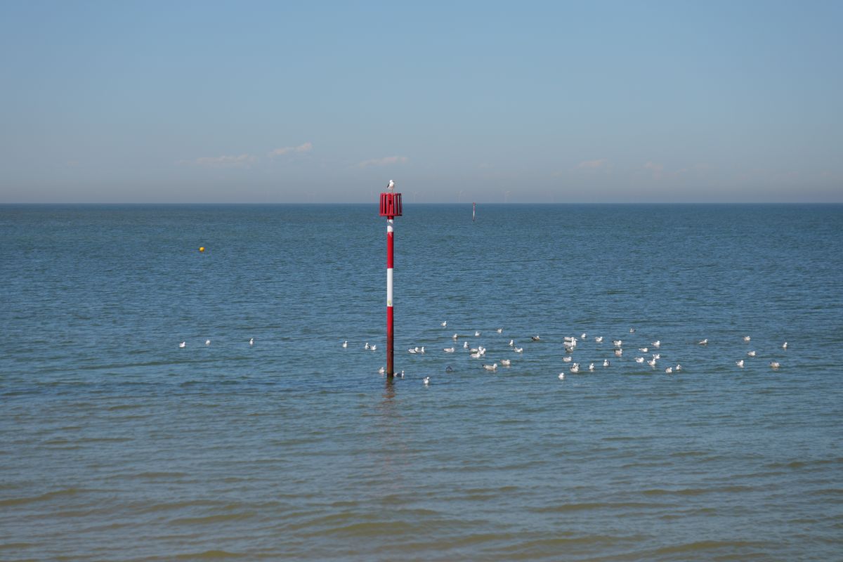 Post in the ocean surrounded by seagulls