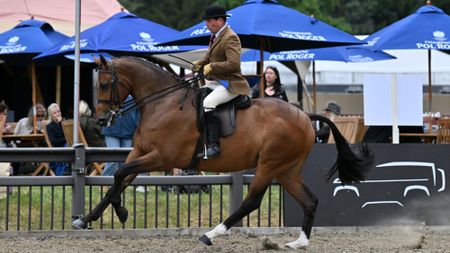 Robert Walker and Ground Control gallop to the 2026 novice hunter spoils
