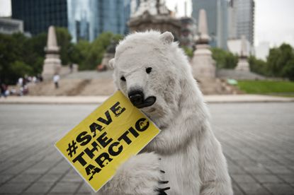 A Greenpeace activist in a polar bear suit