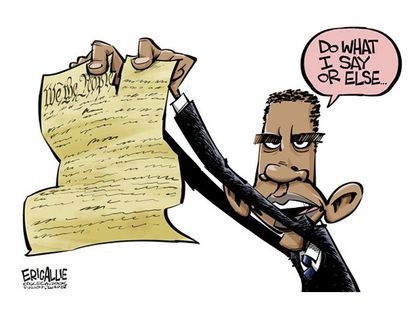 Obama cartoon executive order